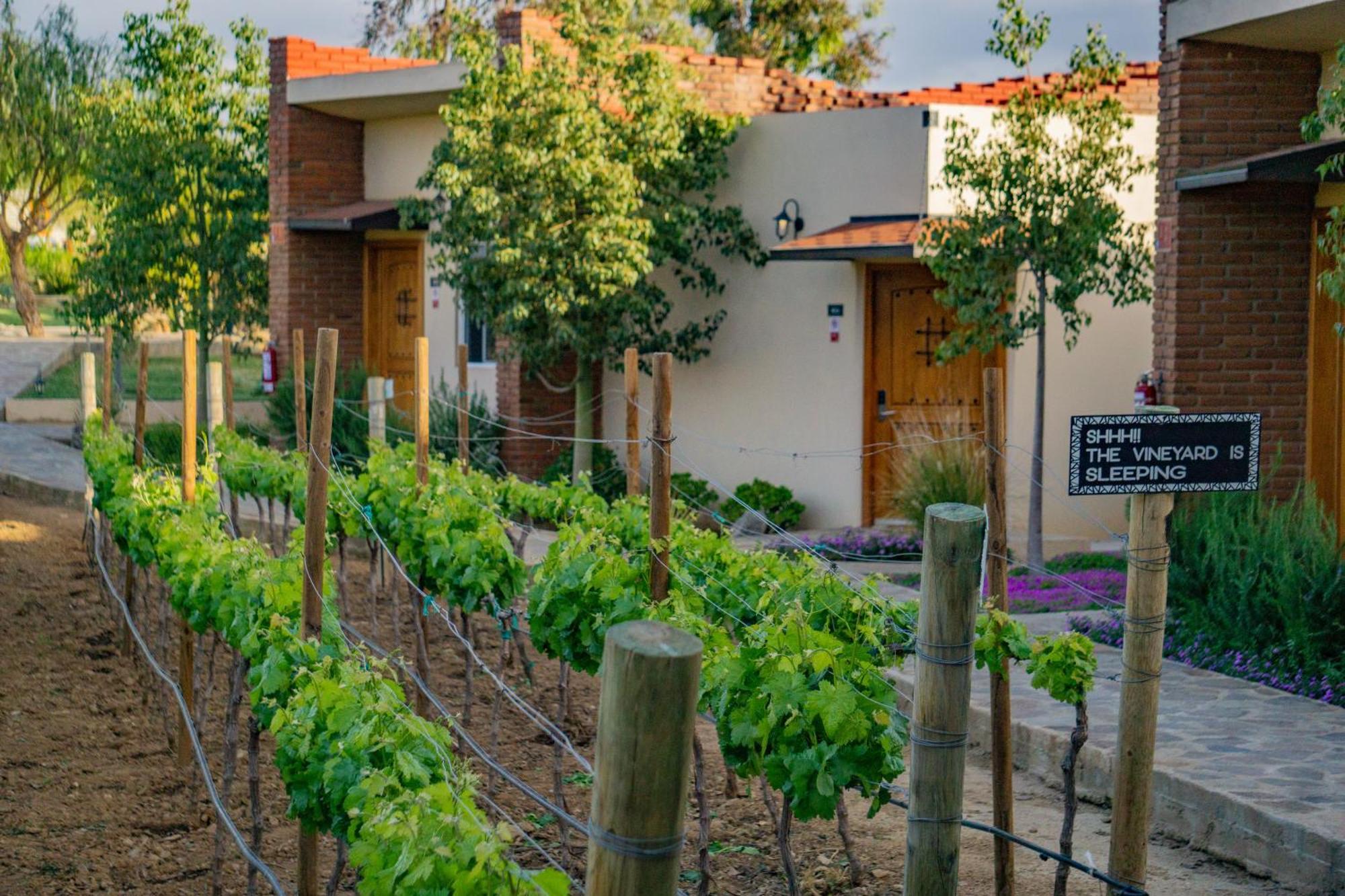 Ojo Azul Resort Valle de Guadalupe Buitenkant foto