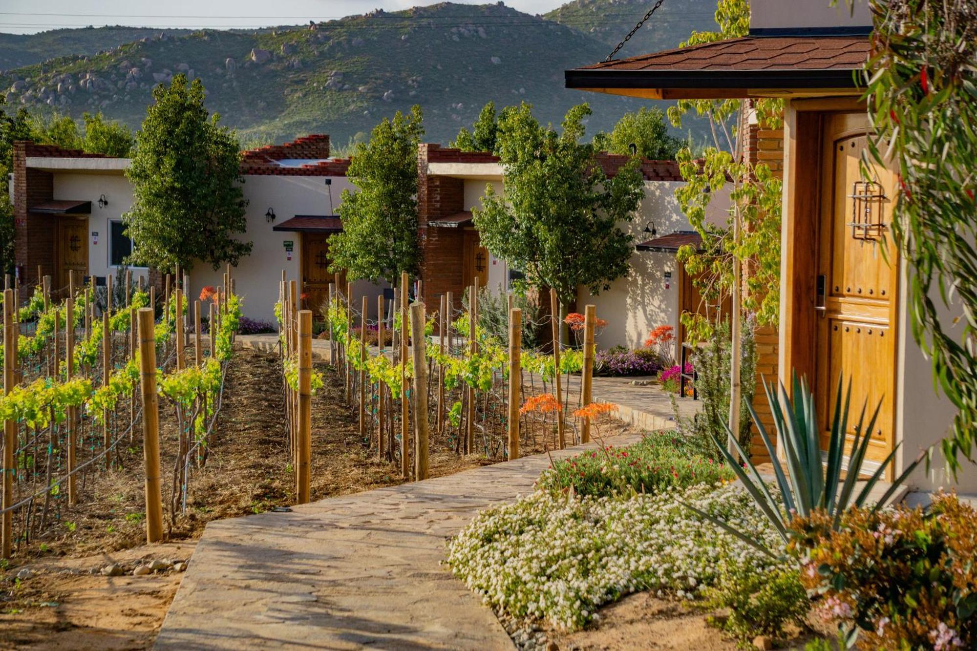 Ojo Azul Resort Valle de Guadalupe Buitenkant foto